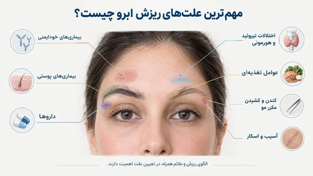 مهم‌ترین علت‌های ریزش ابرو — اینفوگرافیک آموزشی
