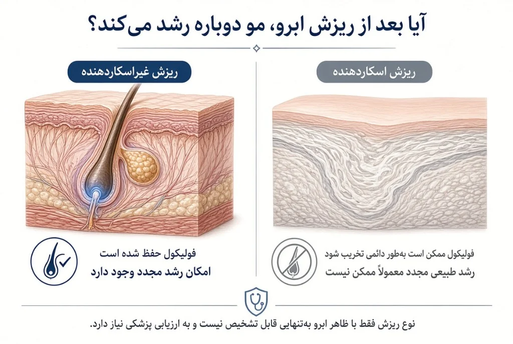 آیا بعد از ریزش ابرو مو دوباره رشد می‌کند؟ — ریزش غیراسکاردهنده در برابر اسکاردهنده