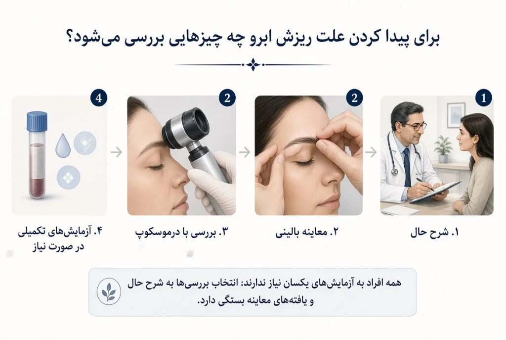 برای پیدا کردن علت ریزش ابرو چه چیزهایی بررسی می‌شود؟ — اینفوگرافیک آموزشی