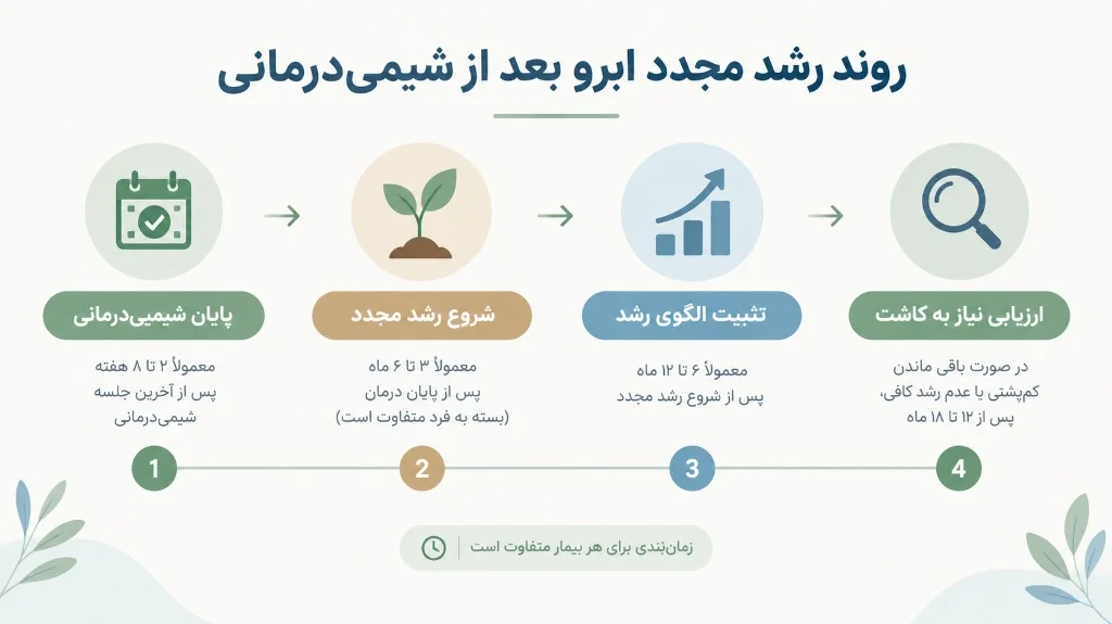 روند رشد مجدد ابرو بعد از شیمی‌درمانی — اینفوگرافیک آموزشی