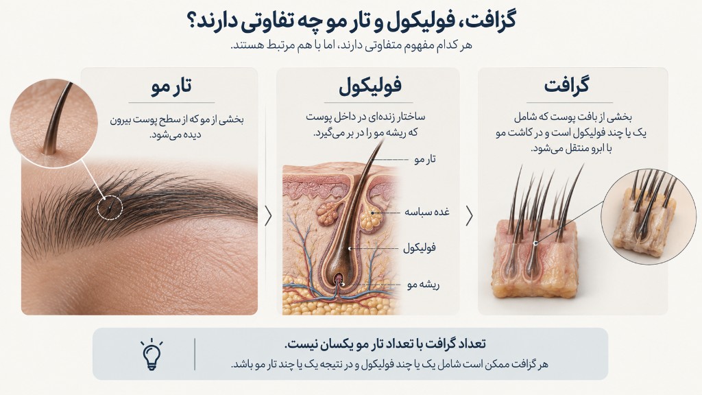 گرافت، فولیکول و تار مو چه تفاوتی دارند؟