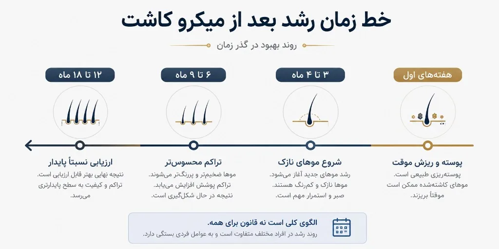 بازه‌های رایج رشد بعد از میکرو کاشت از پوسته و ریزش شوک تا تراکم دیرتر