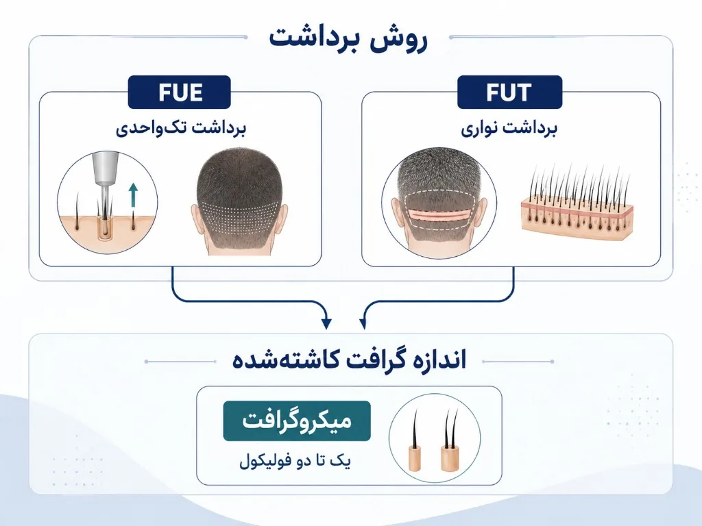 نمودار دو لایه: FUE یا FUT به‌عنوان روش برداشت، میکروگرافت به‌عنوان اندازه و کاشت گرافت
