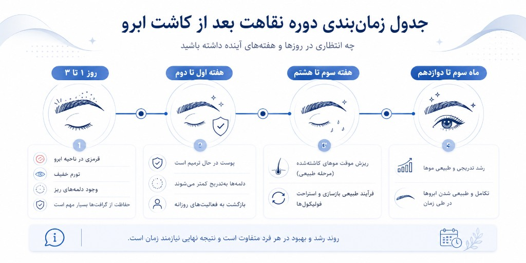جدول زمان‌بندی نقاهت بعد از کاشت ابرو: روز ۱ تا ۳، هفته اول تا دوم، هفته ۳ تا ۸، و ماه ۳ تا ۱۲